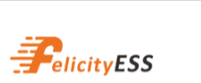 Логотип Felicity ESS